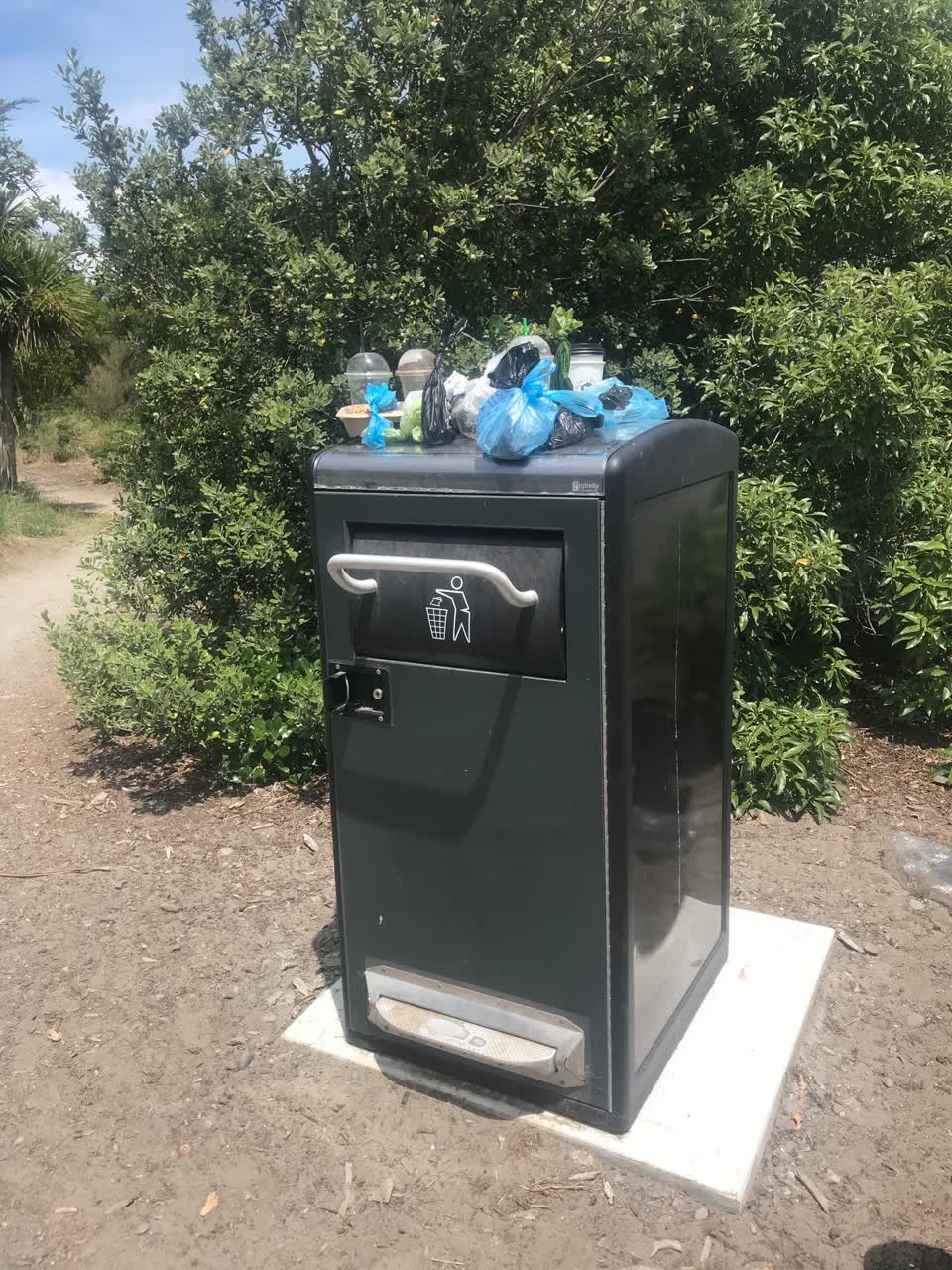 The photograph attached to this rubbish/recycling report