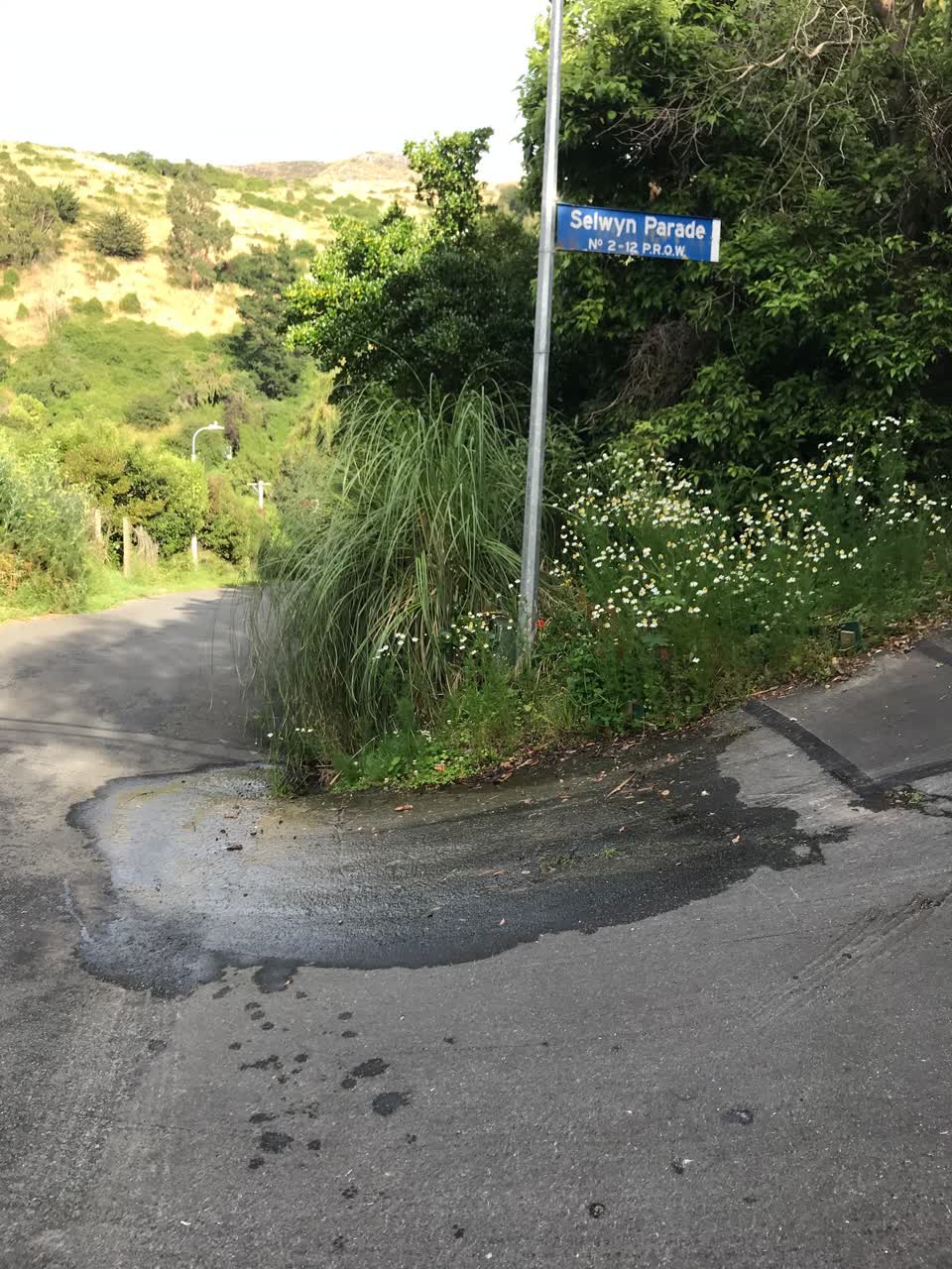 The photograph attached to this water leak report