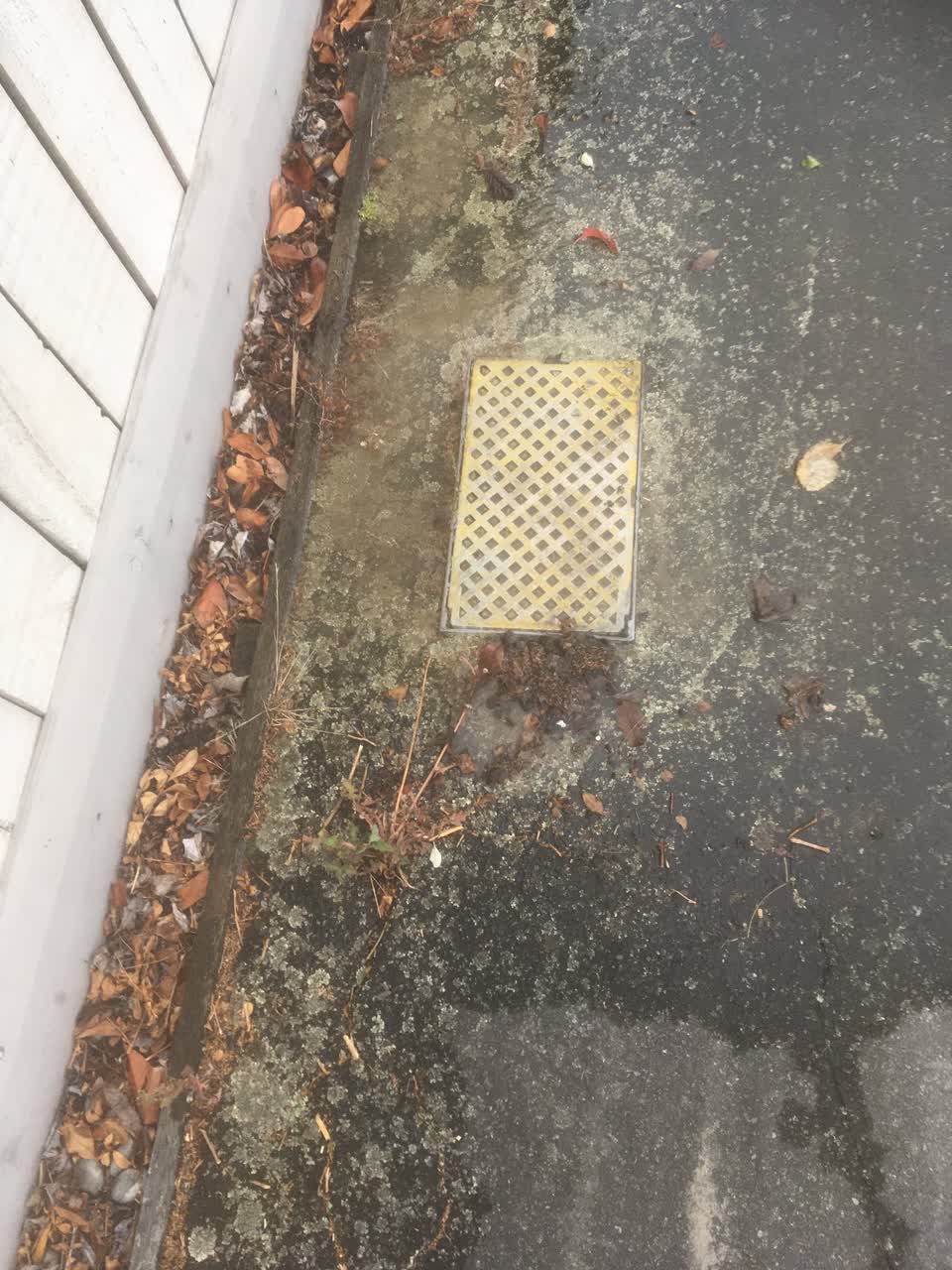 The photograph attached to this water leak report