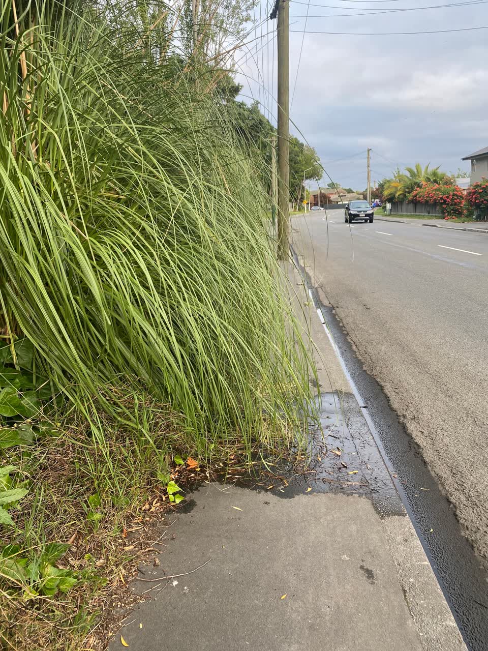 The photograph attached to this roading/streets report
