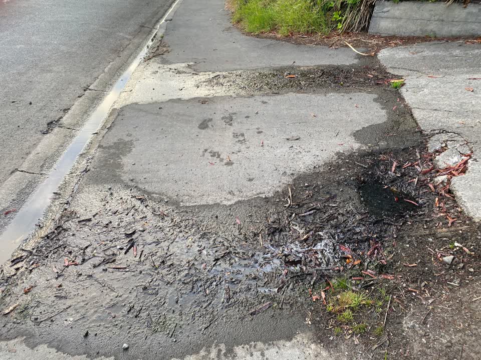 The photograph attached to this roading/streets report