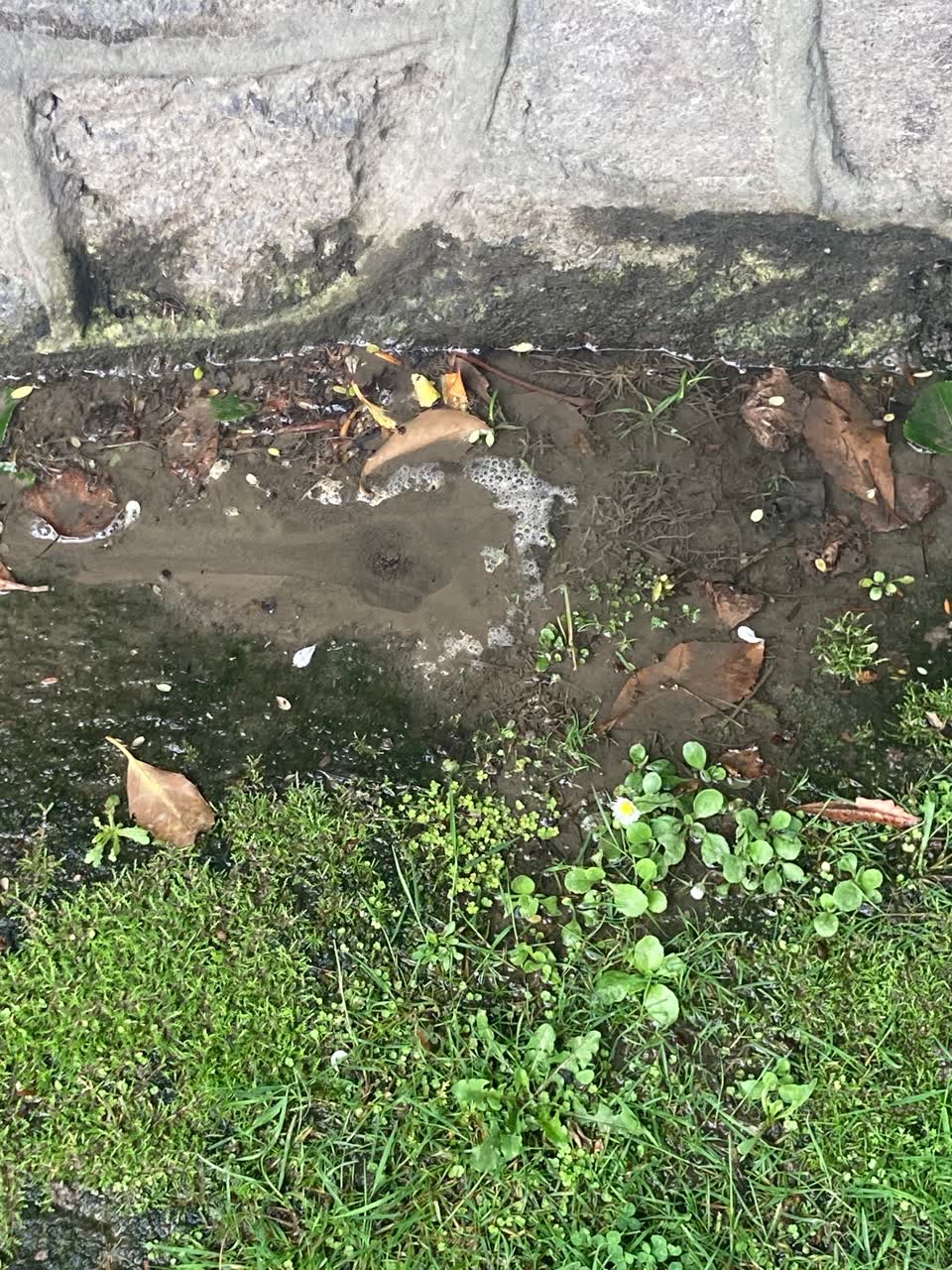 The photograph attached to this water leak report