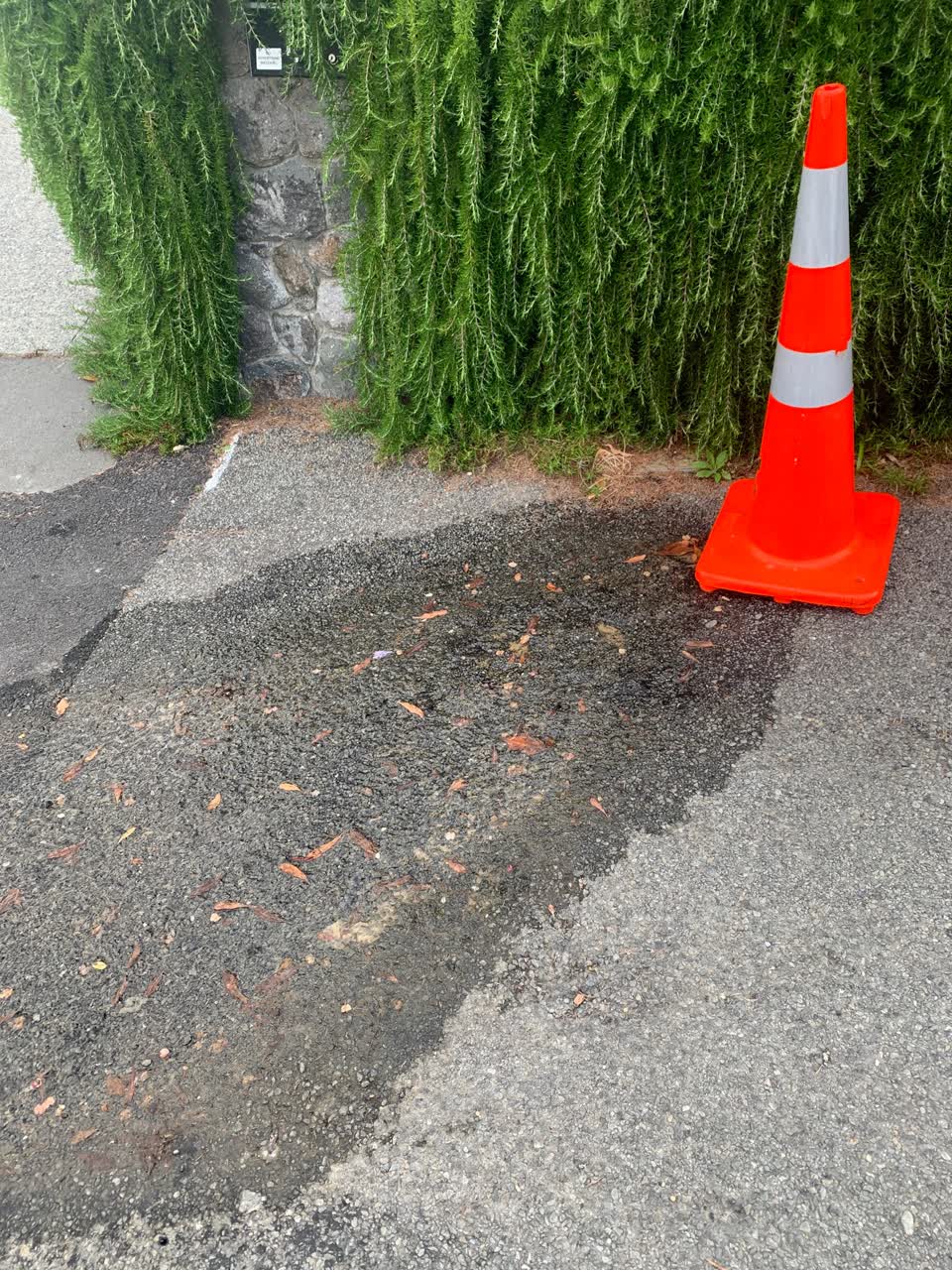 The photograph attached to this water leak report