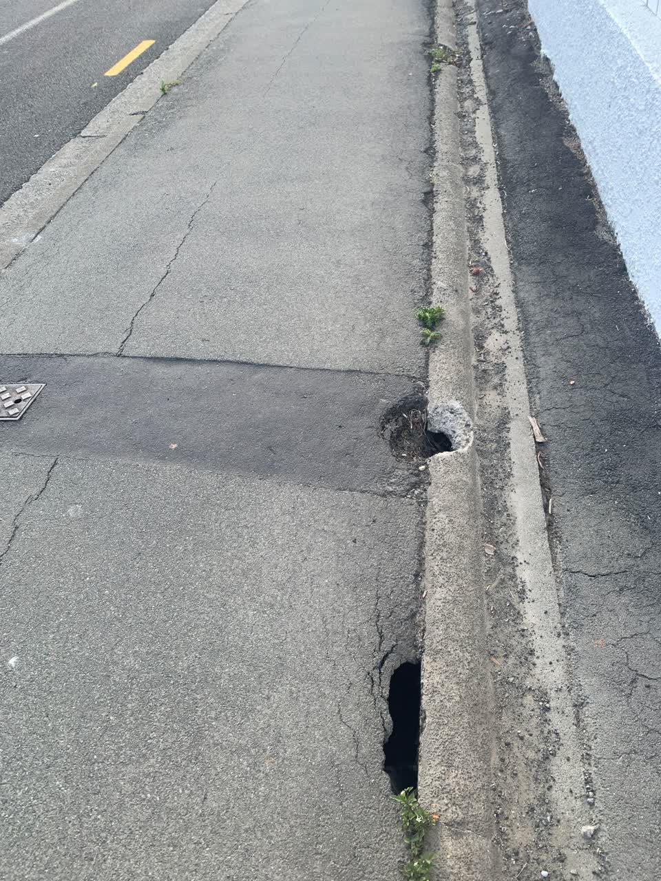 The photograph attached to this roading/streets report