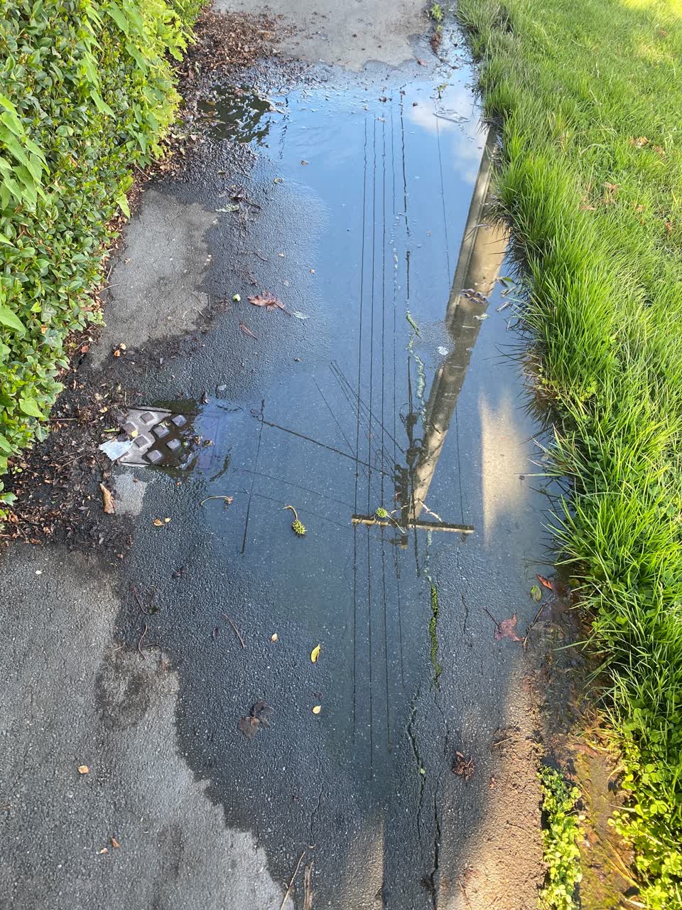 The photograph attached to this water leak report