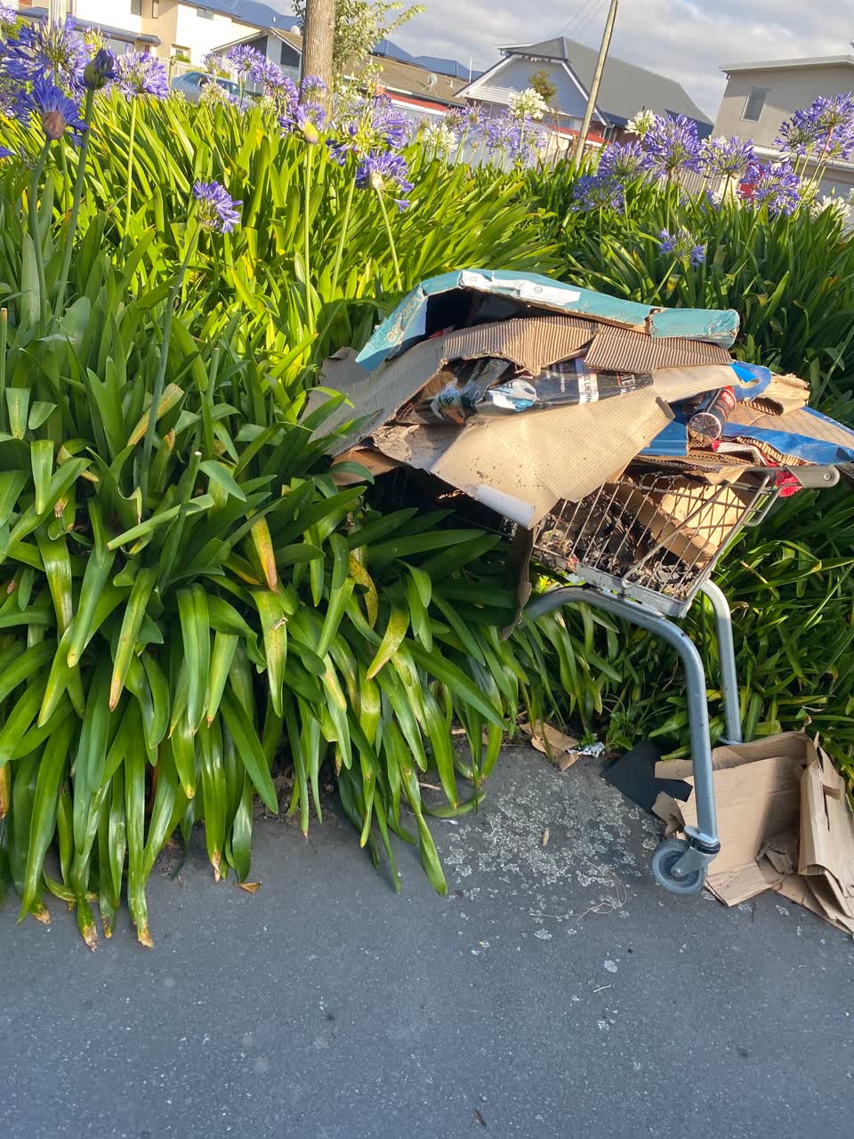 The photograph attached to this rubbish/recycling report
