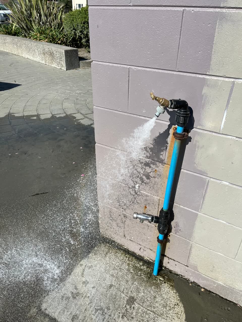 The photograph attached to this water leak report