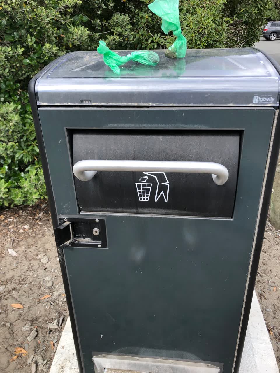 The photograph attached to this rubbish/recycling report