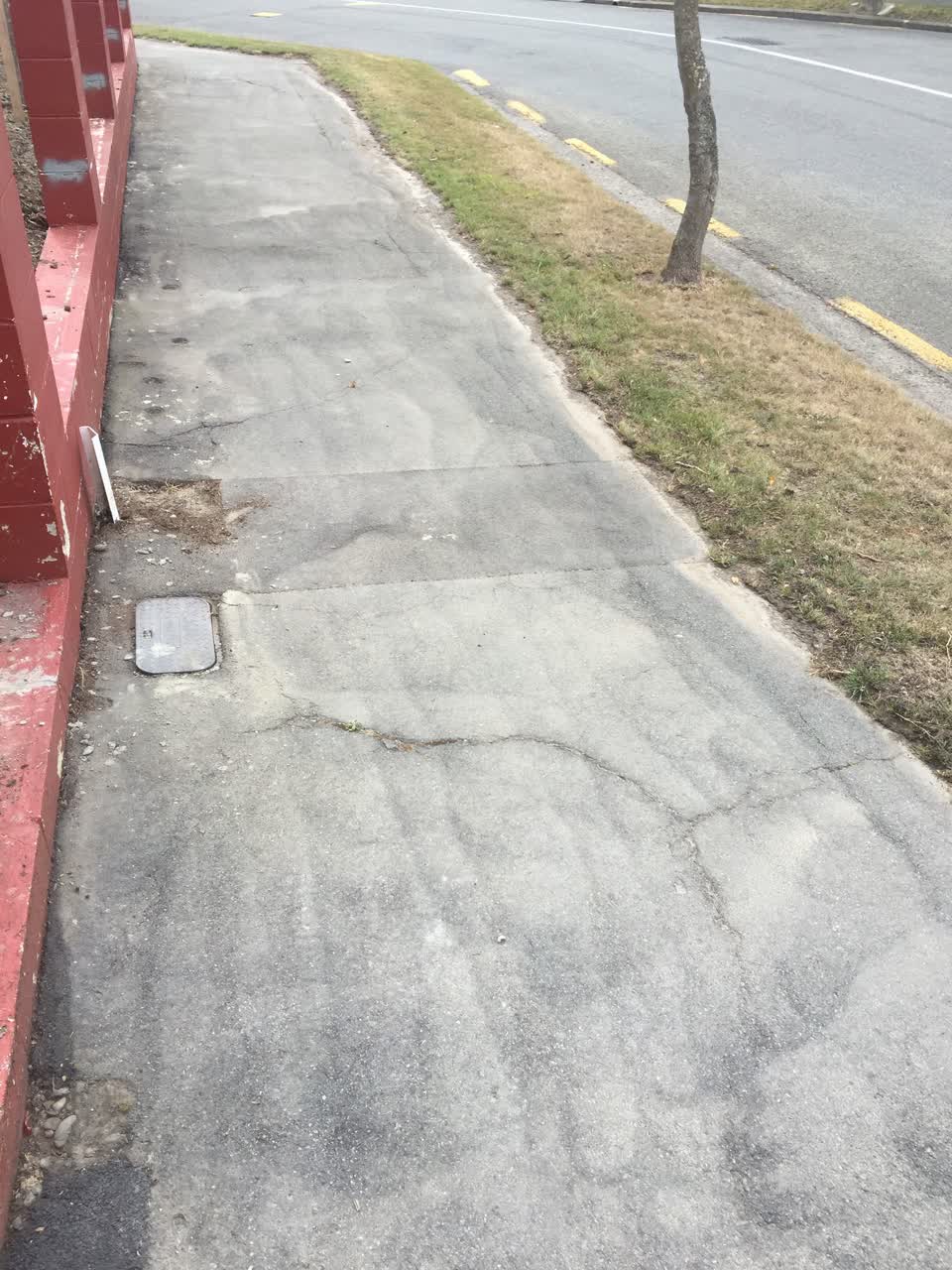 The photograph attached to this roading/streets report
