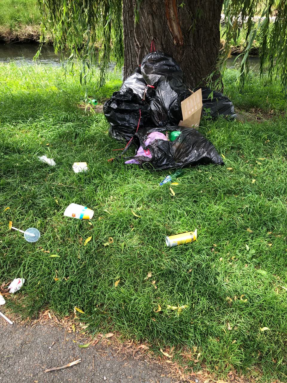 The photograph attached to this rubbish/recycling report