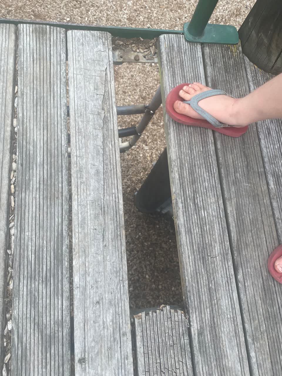 The photograph attached to this parks report