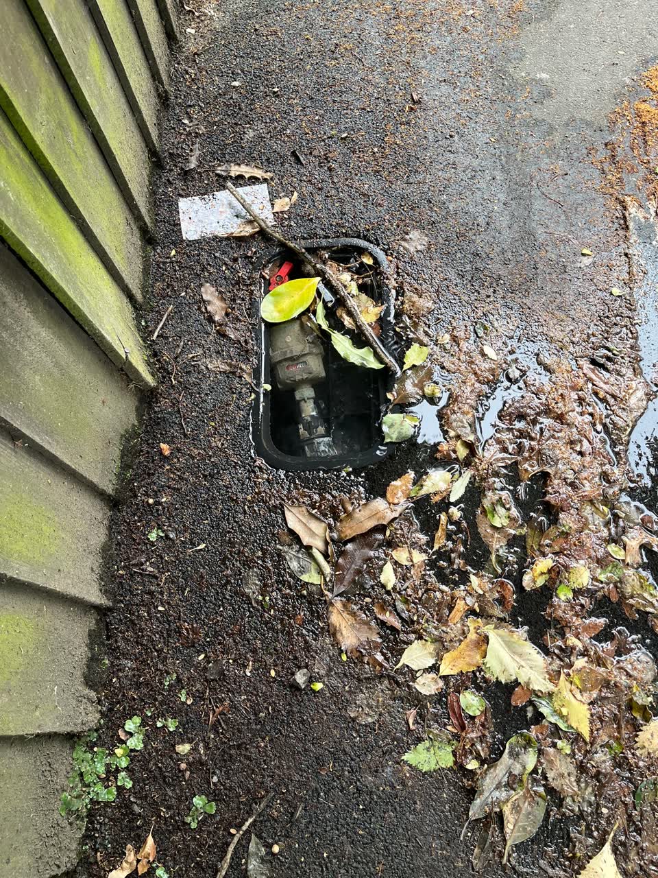 The photograph attached to this water leak report