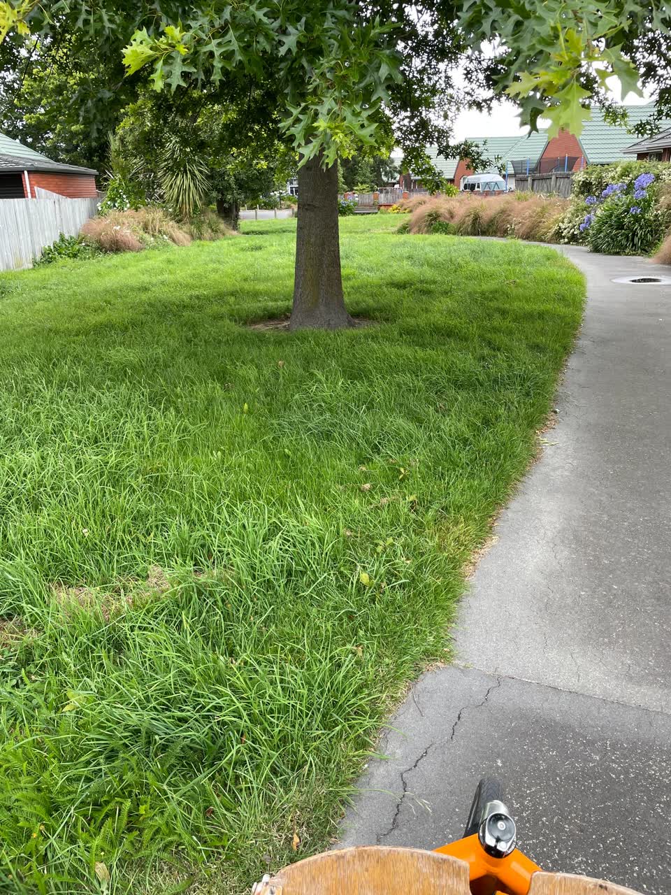 The photograph attached to this parks report