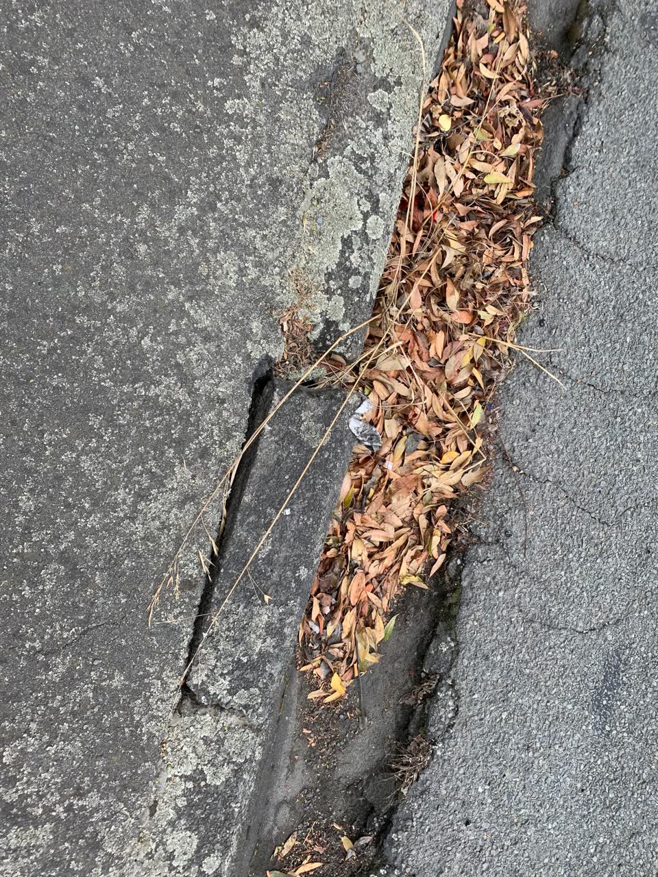 The photograph attached to this roading/streets report