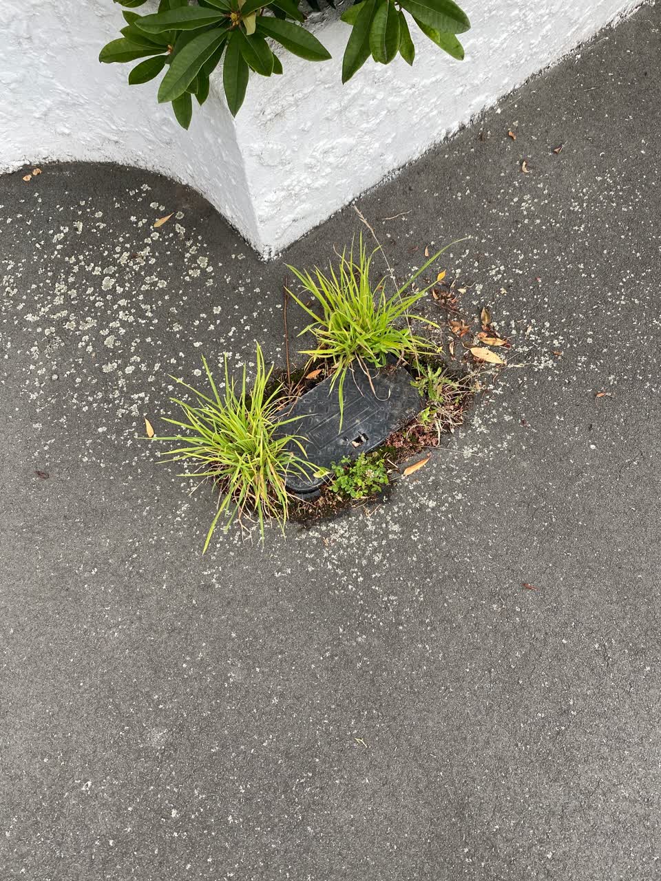 The photograph attached to this water supply report