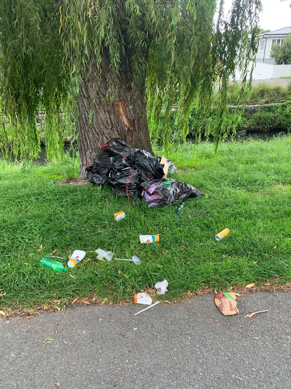 The photograph attached to this rubbish/recycling report