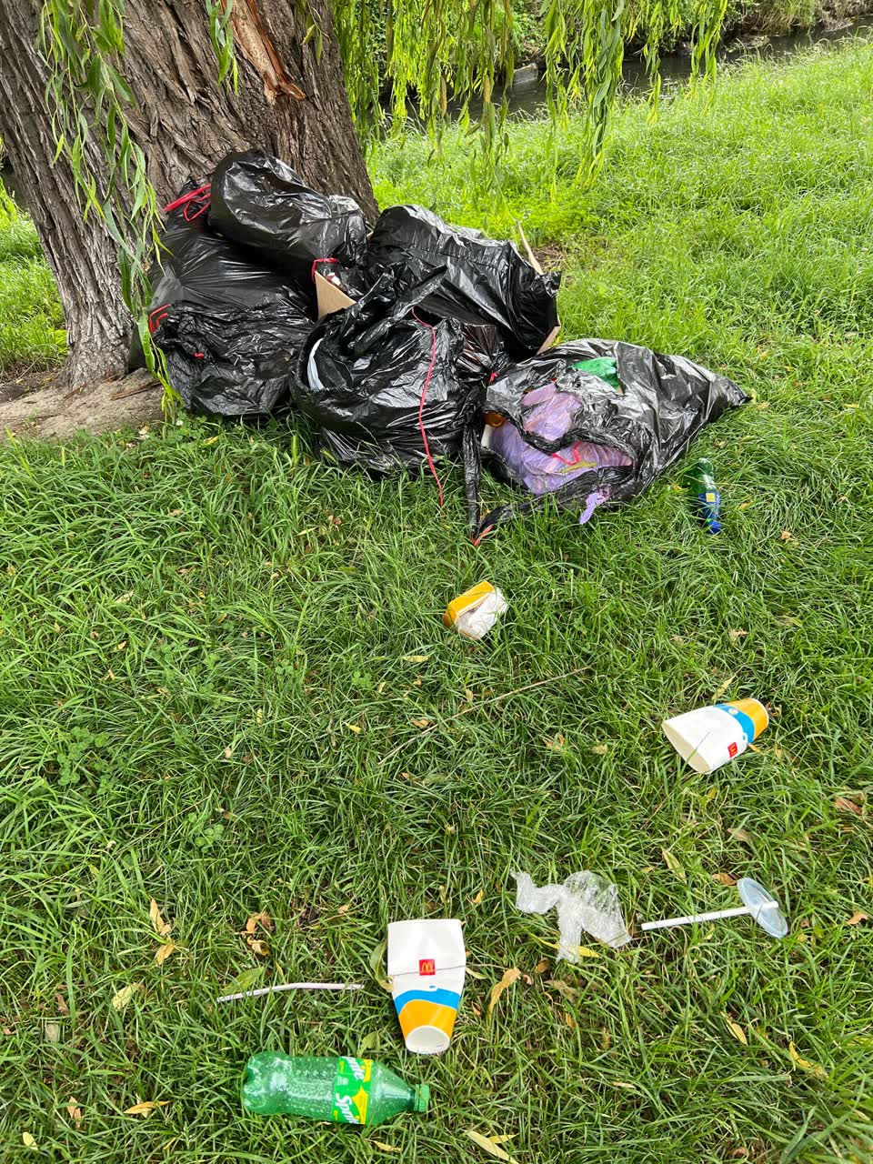 The photograph attached to this rubbish/recycling report