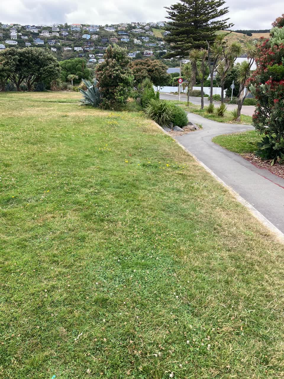 The photograph attached to this parks report