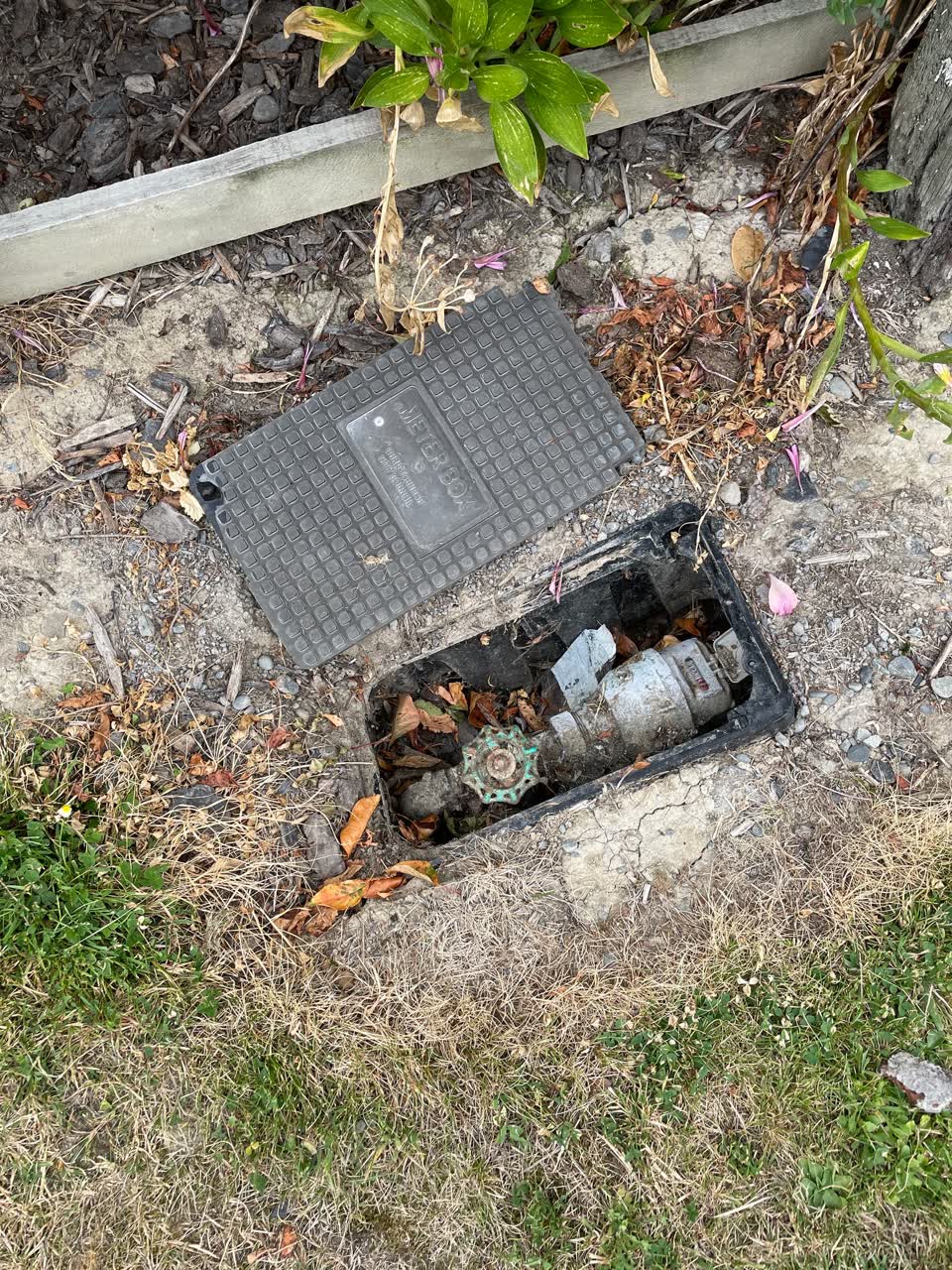The photograph attached to this water supply report