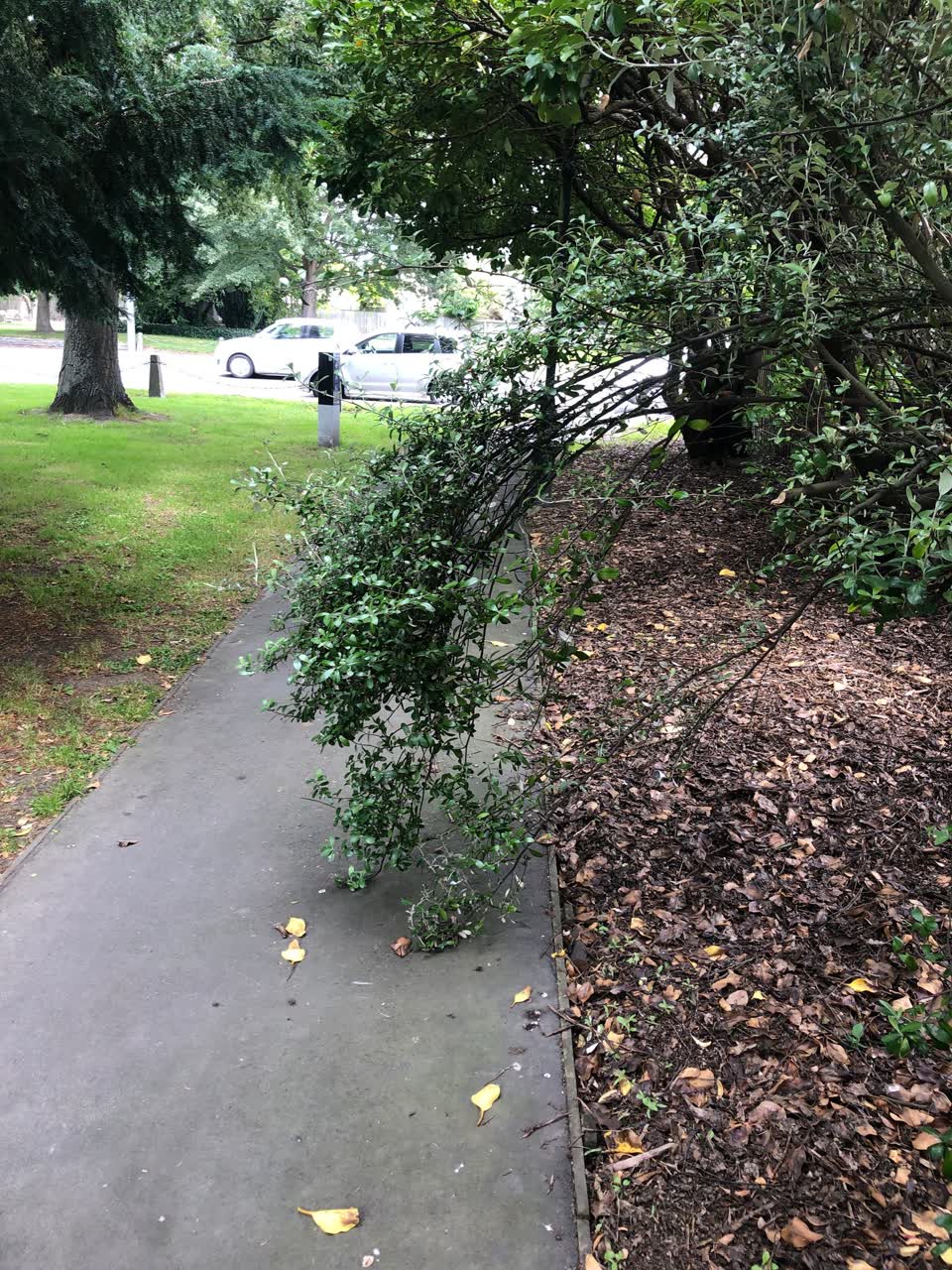 The photograph attached to this parks report