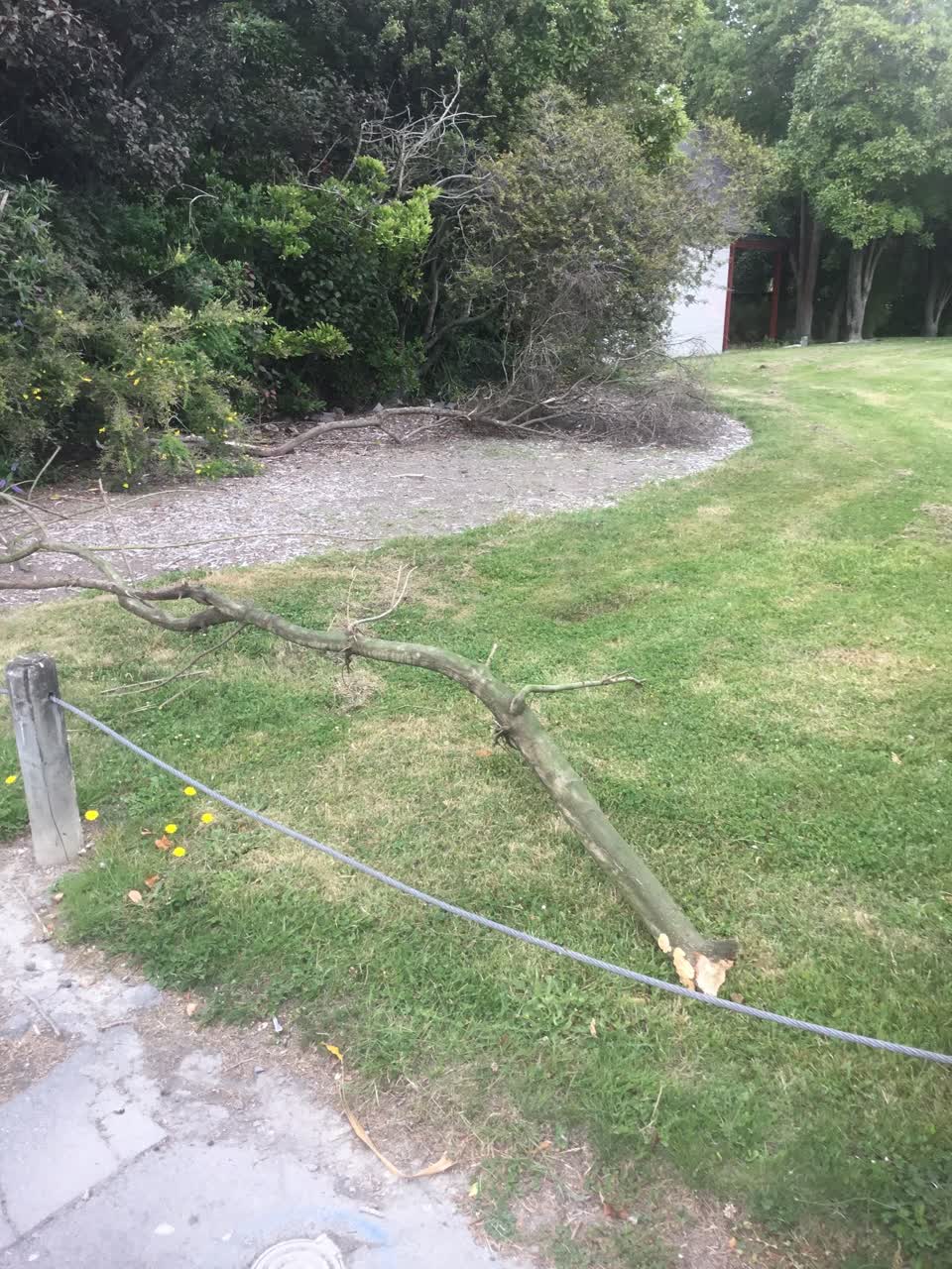 The photograph attached to this parks report