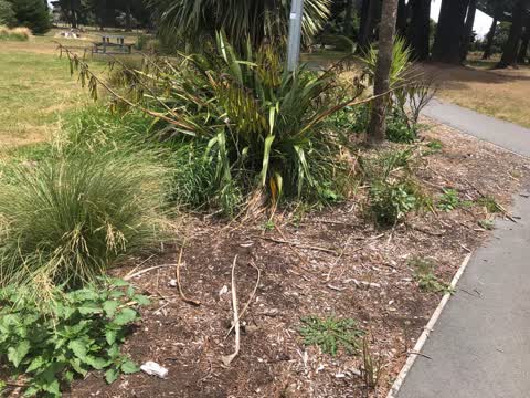 Parks, a report photo
