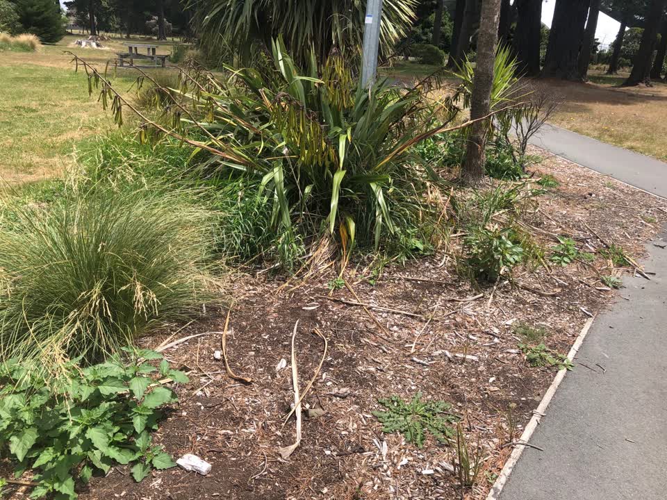 The photograph attached to this parks report