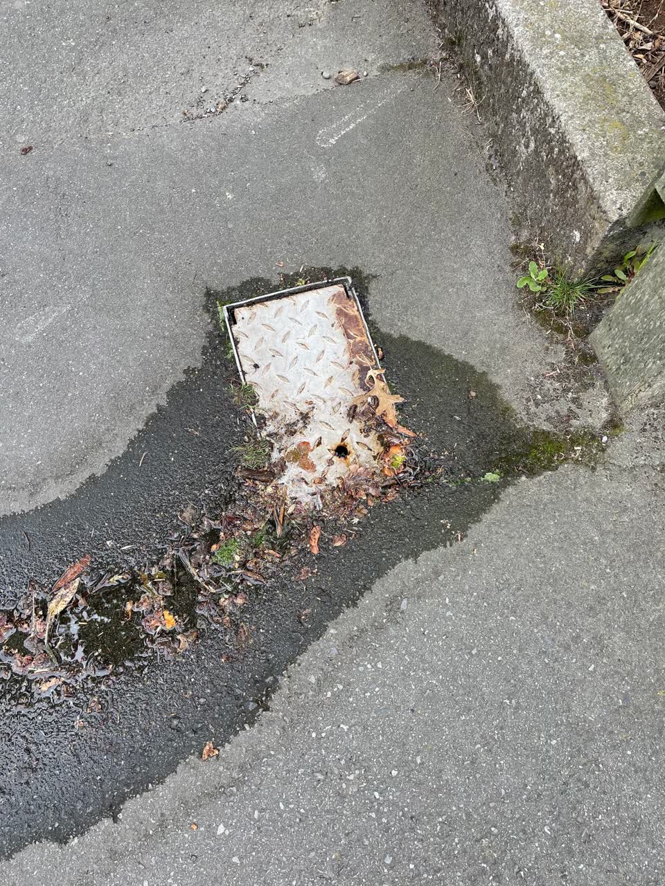 The photograph attached to this roading/streets report