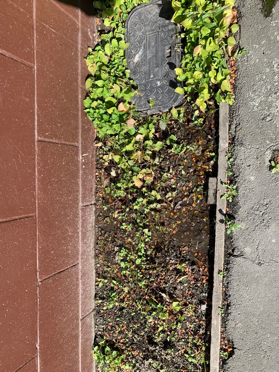 The photograph attached to this water leak report