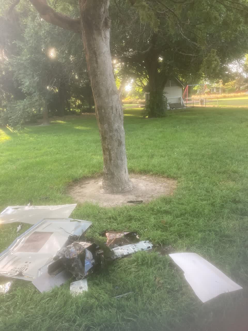 The photograph attached to this parks report