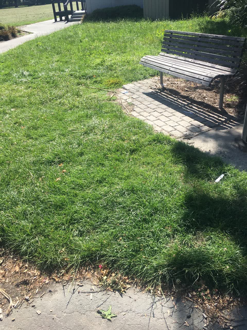 The photograph attached to this parks report