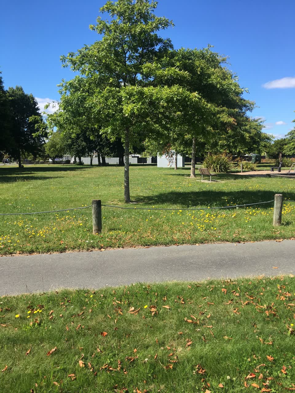 The photograph attached to this parks report