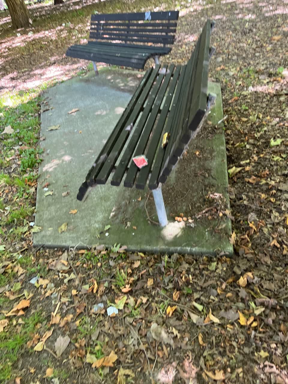 The photograph attached to this parks report
