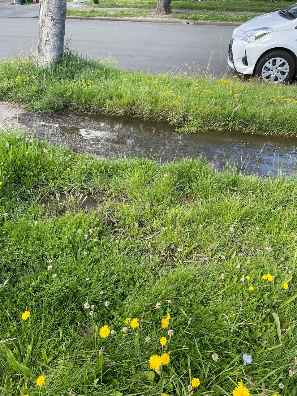 The photograph attached to this flooding report
