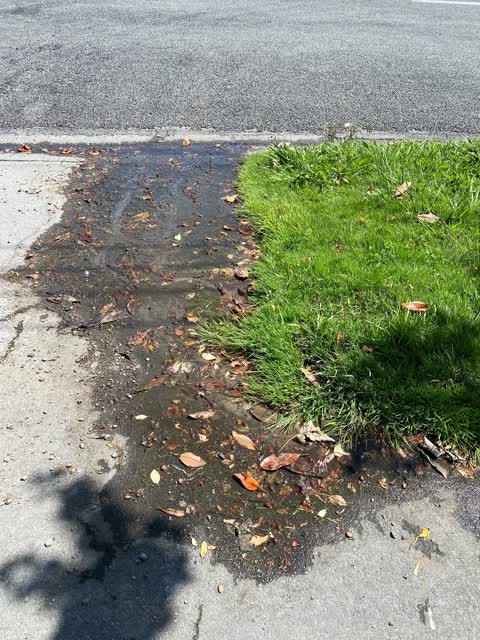 Water Leak, a report photo