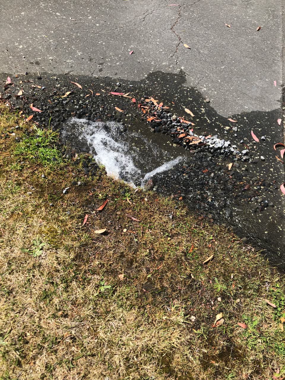 The photograph attached to this flooding report