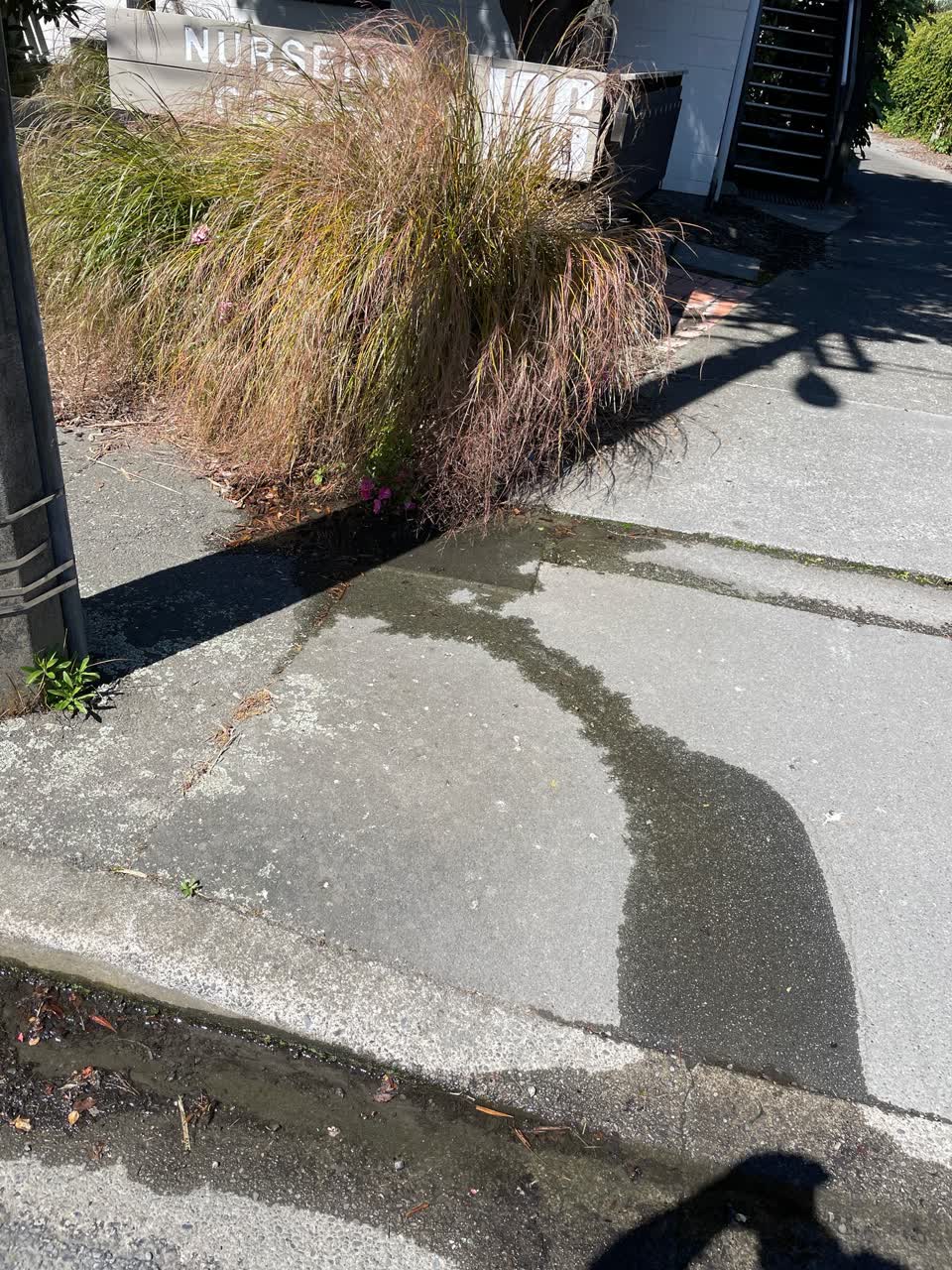 The photograph attached to this water leak report