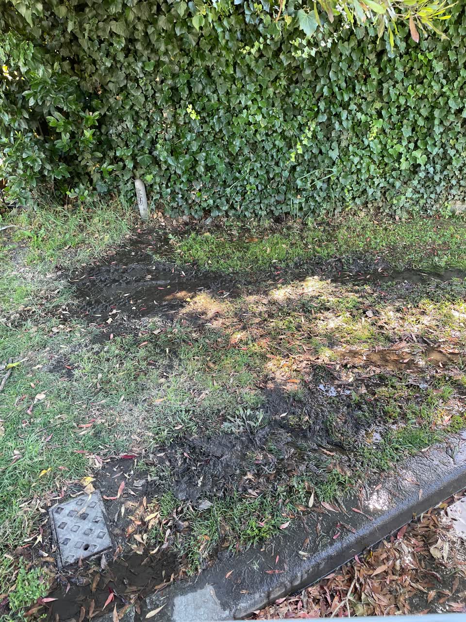 The photograph attached to this water leak report