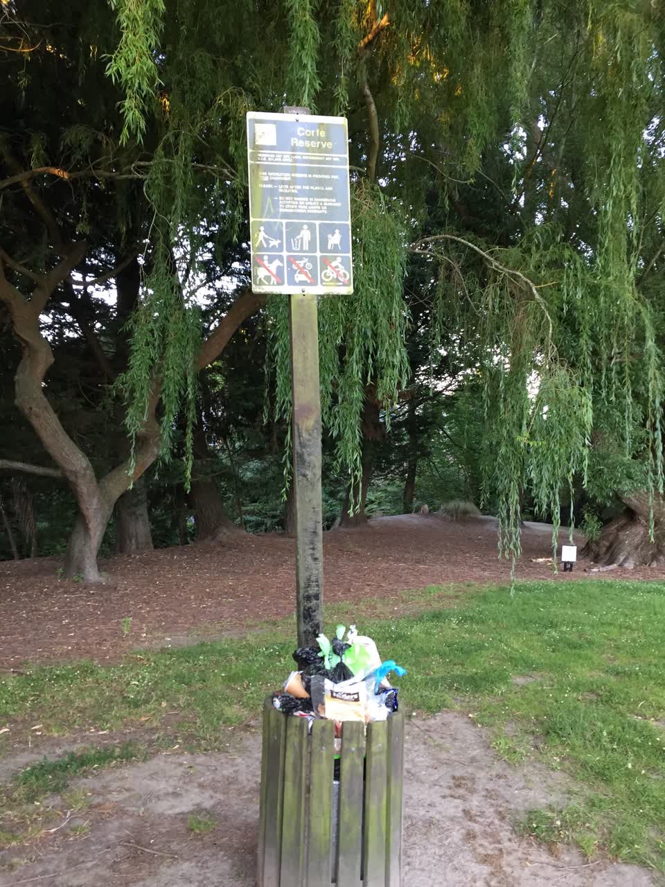 The photograph attached to this rubbish/recycling report