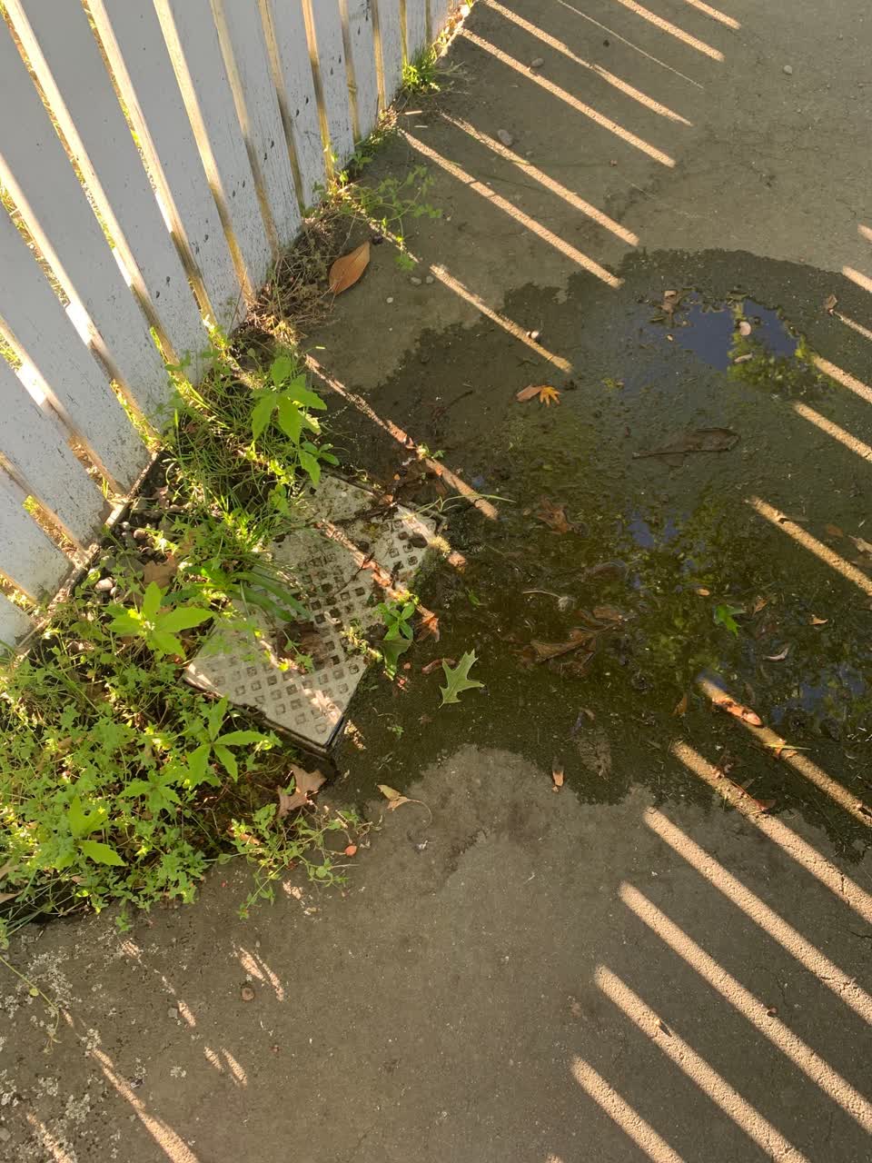 The photograph attached to this water leak report