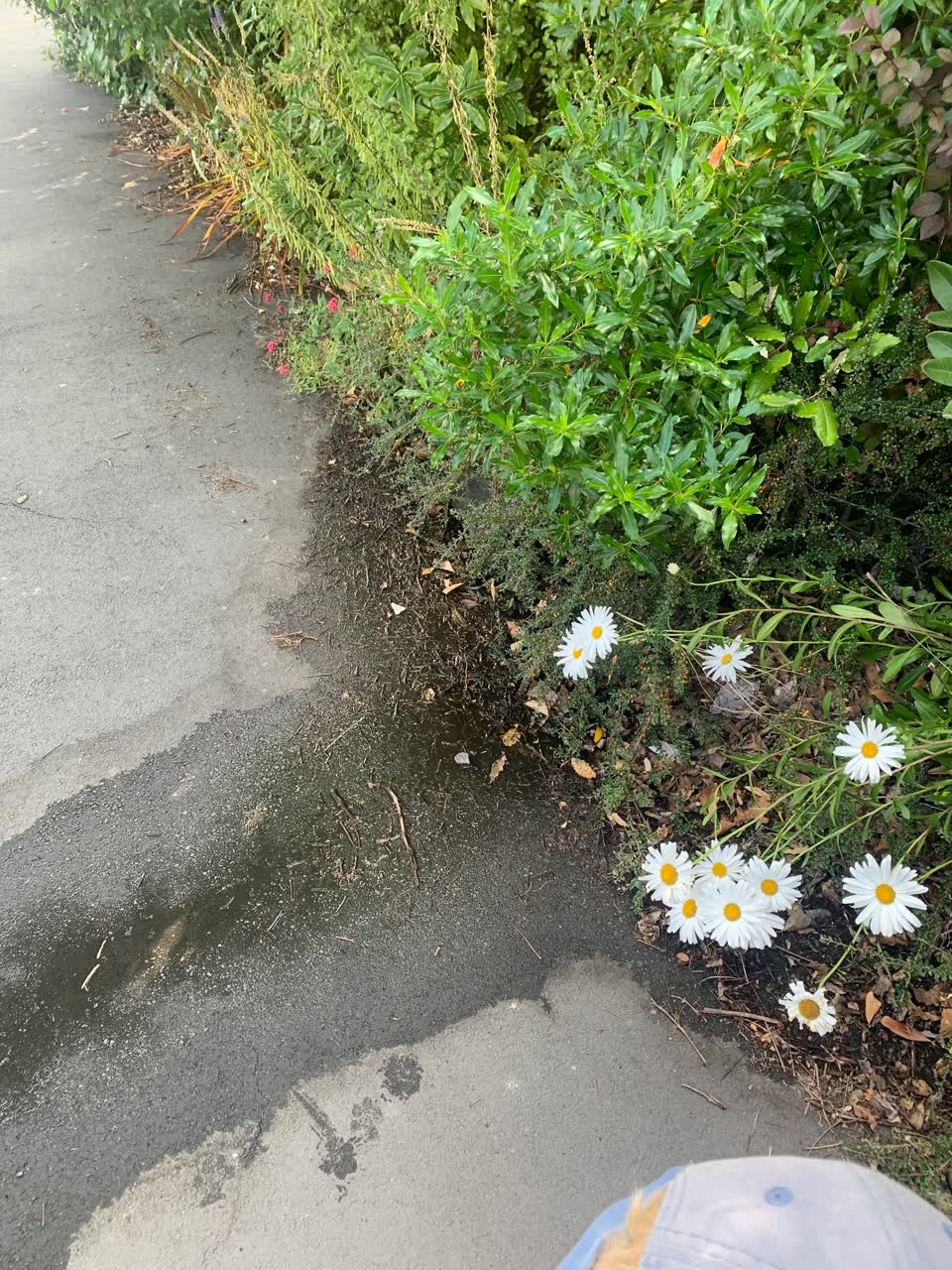 The photograph attached to this water leak report