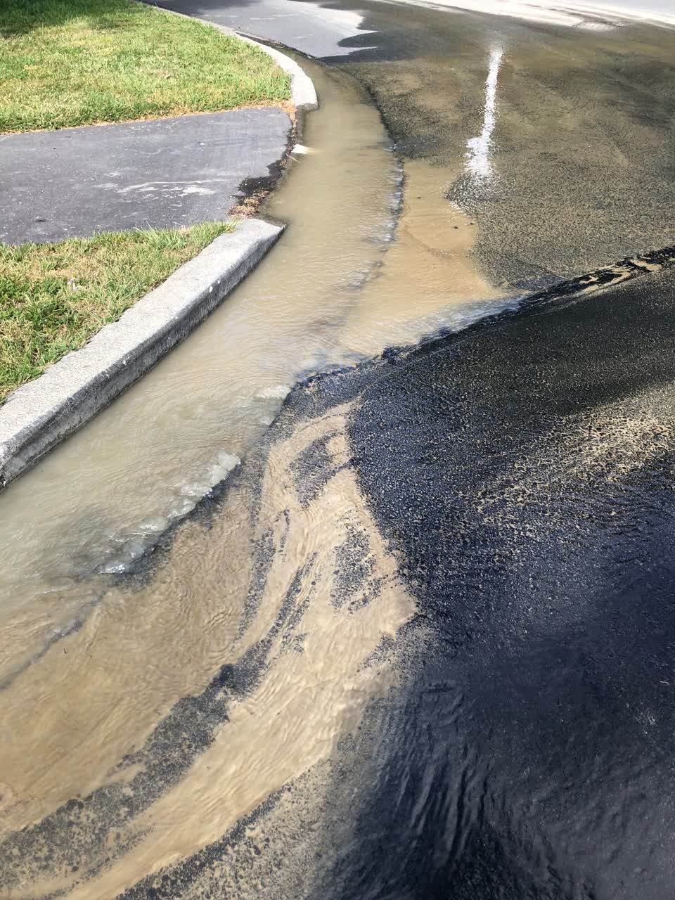 The photograph attached to this water leak report