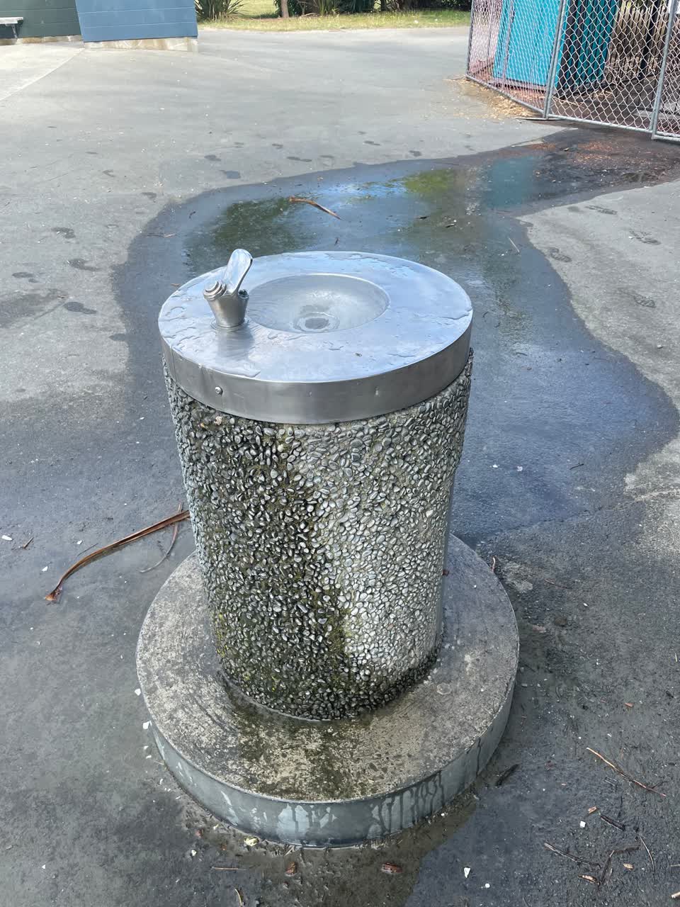 The photograph attached to this parks report