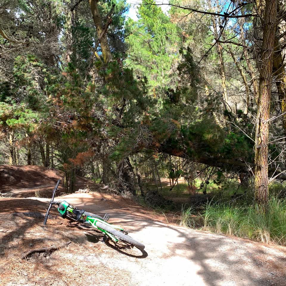 The photograph attached to this parks report