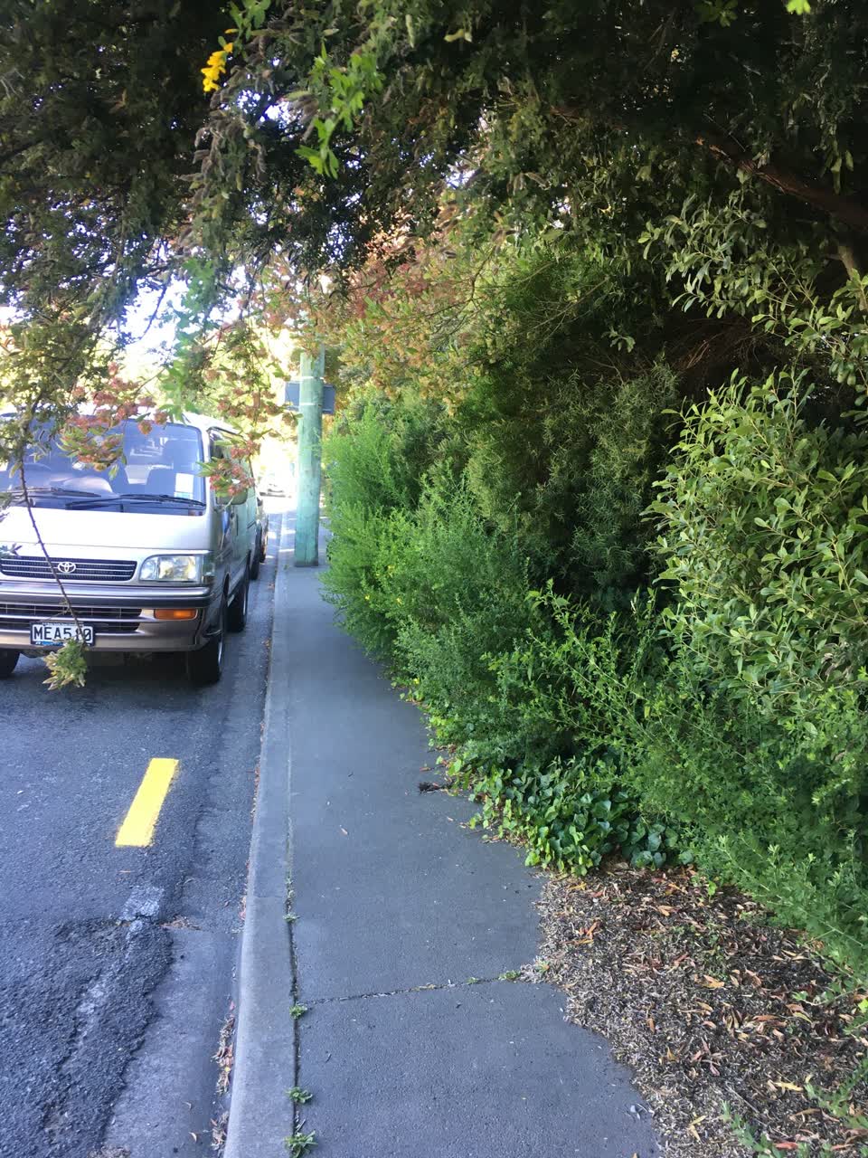 The photograph attached to this parks report