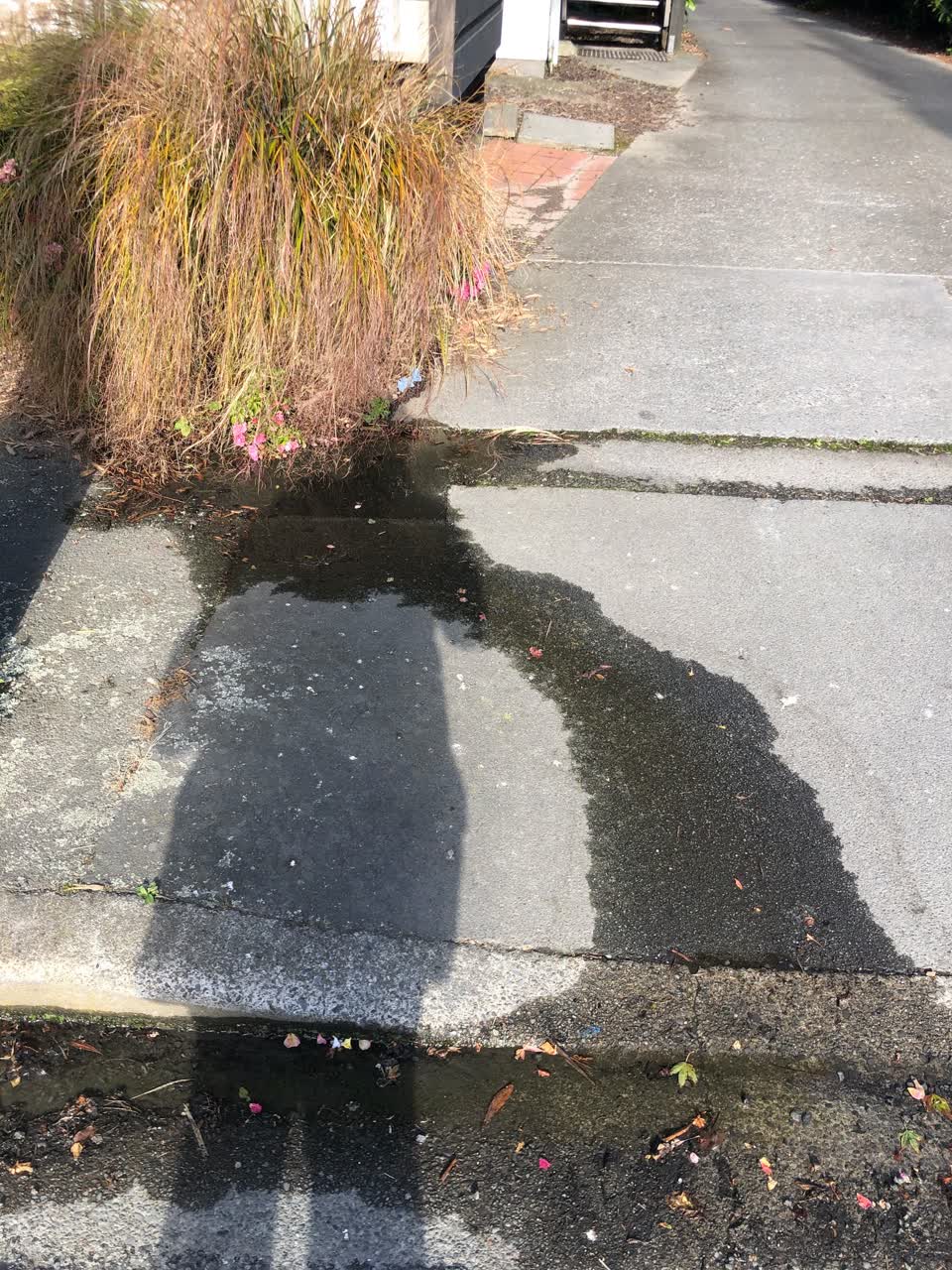 The photograph attached to this water leak report