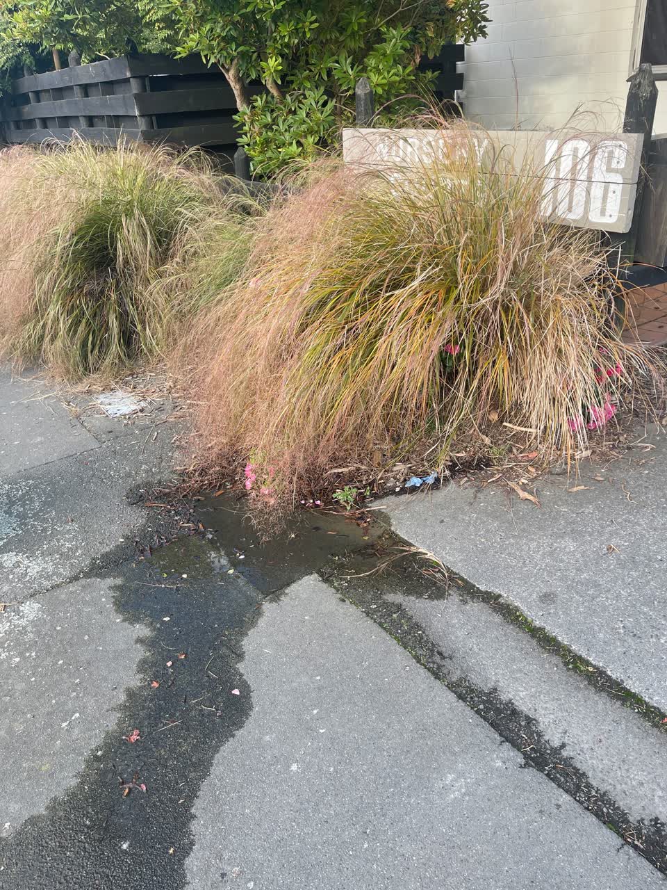 The photograph attached to this water leak report