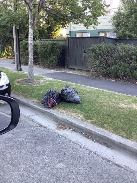 Rubbish/Recycling, a report photo