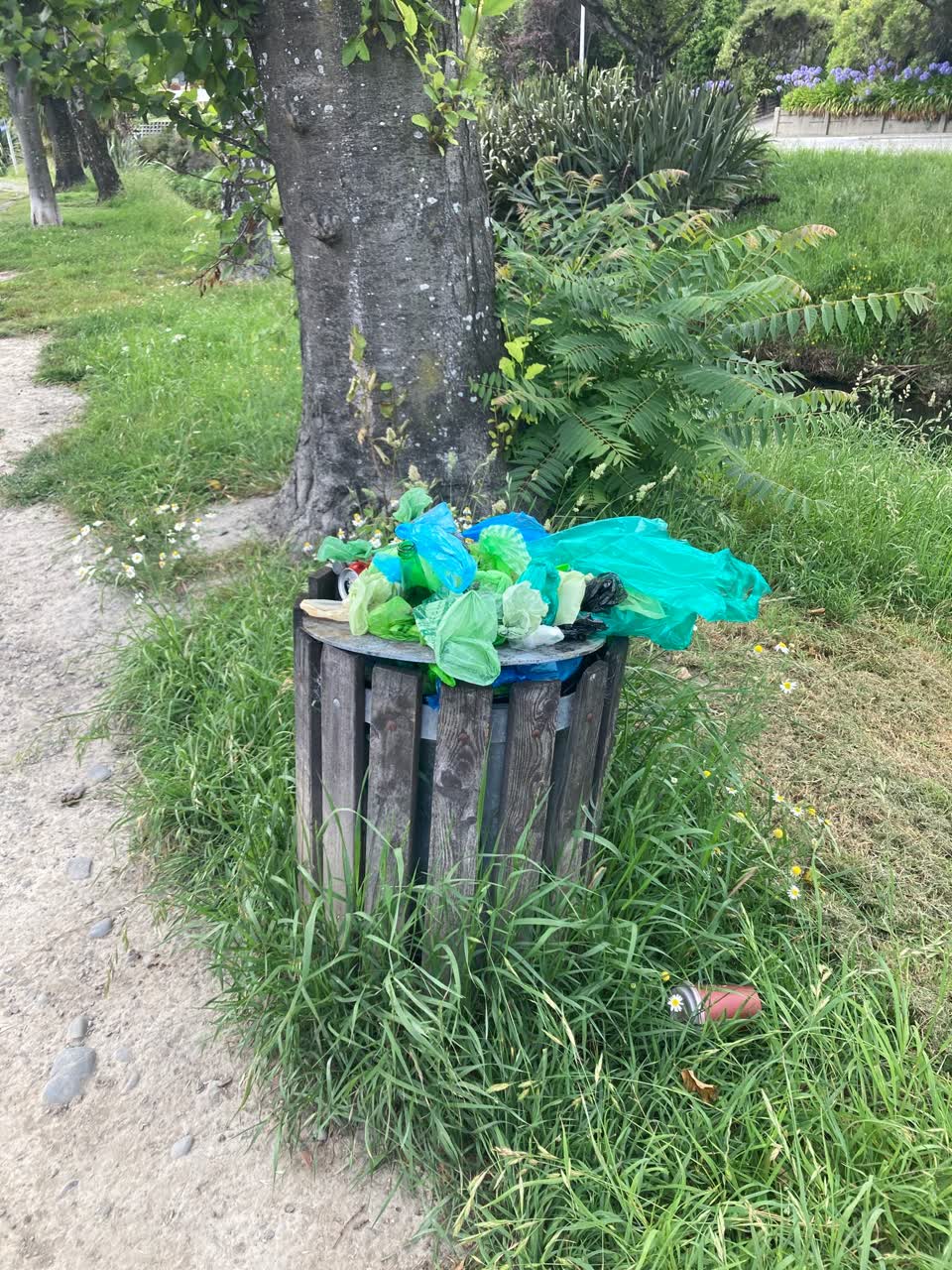The photograph attached to this rubbish/recycling report