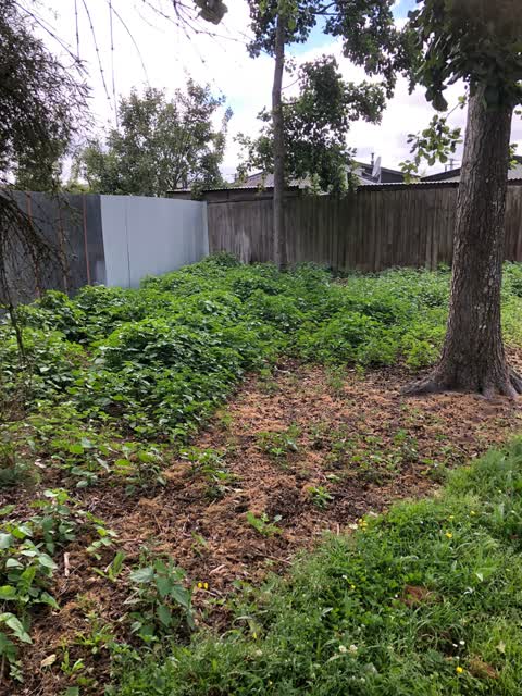 Parks, a report photo